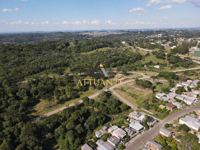 Terreno para Venda em Caxias do Sul - 4