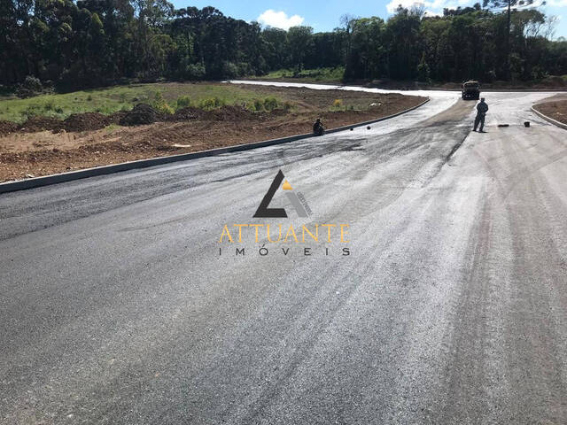 #TR2607 - Terreno para Venda em Caxias do Sul - RS - 3