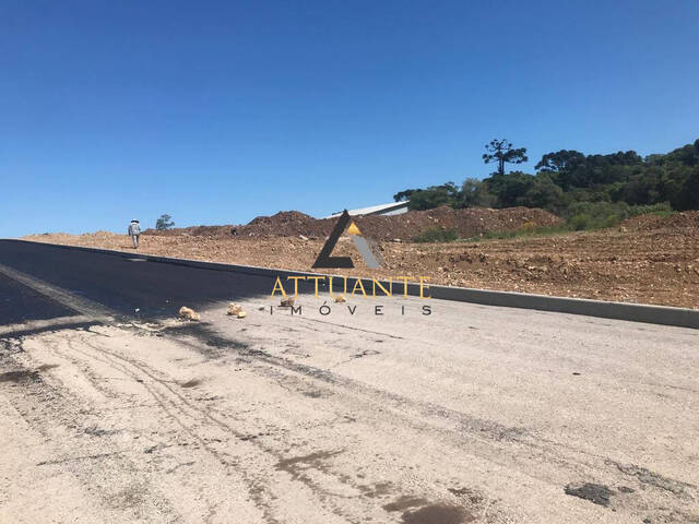 Terreno para Venda em Caxias do Sul - 5