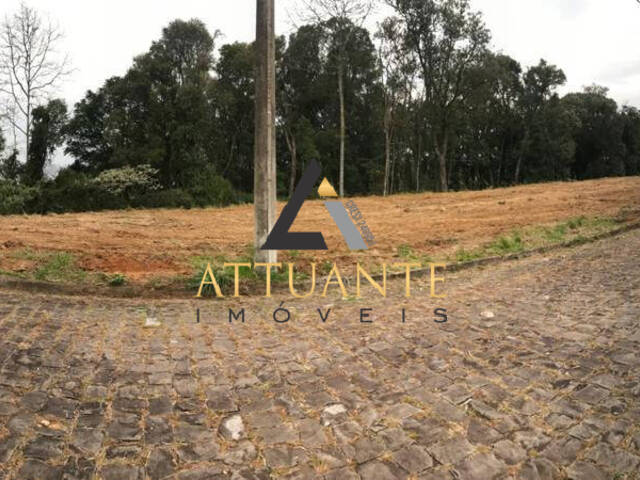 Terreno para Venda em Caxias do Sul - 2