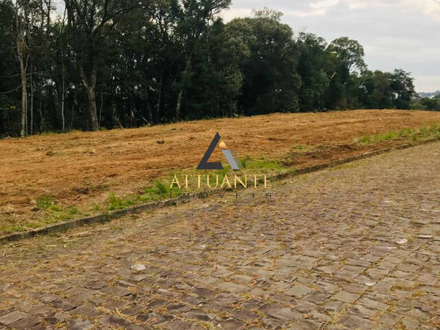 Terreno para Venda em Caxias do Sul - 3