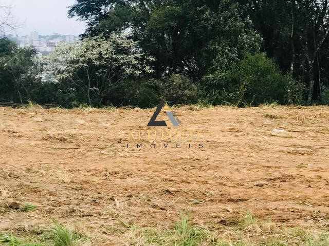 Terreno para Venda em Caxias do Sul - 4