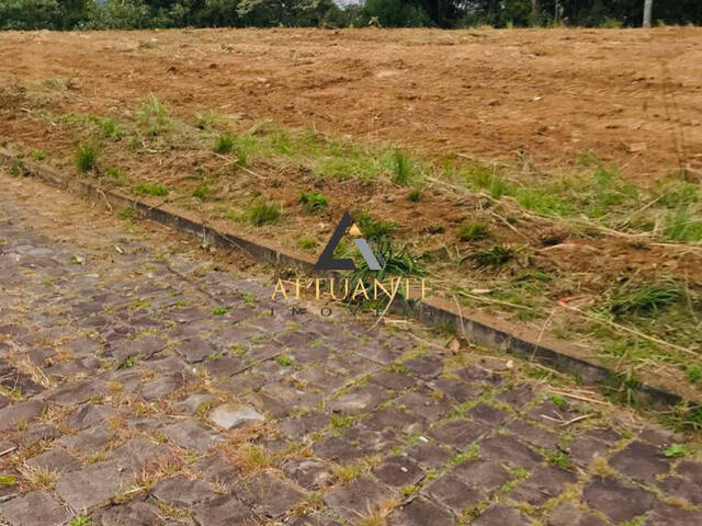 Terreno para Venda em Caxias do Sul - 5