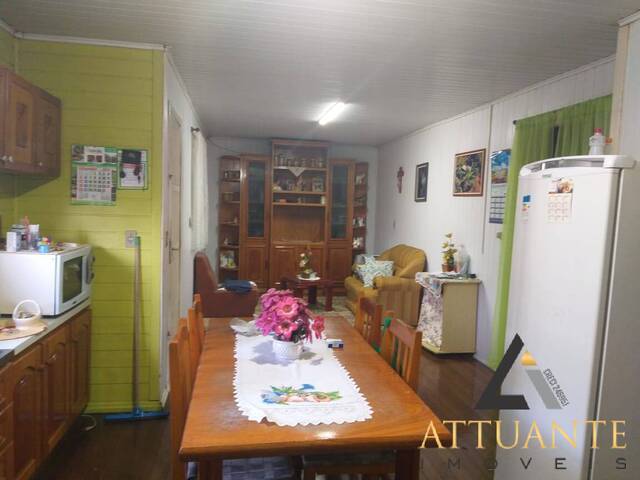 Chácara para Venda em Caxias do Sul - 4