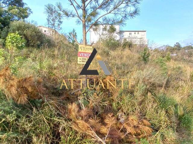 #TR2641 - Terreno para Venda em Caxias do Sul - RS - 3