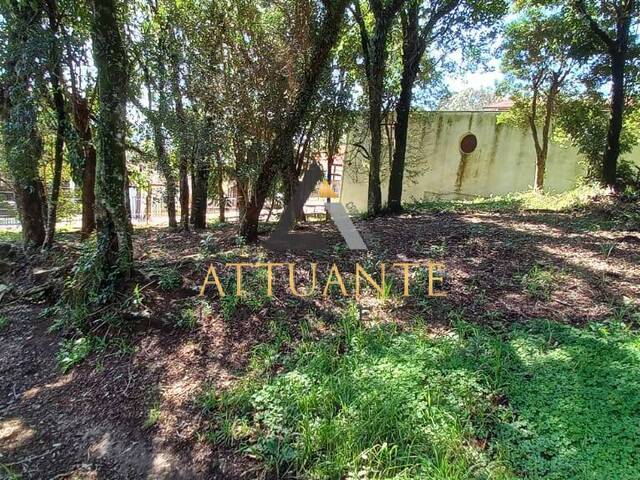Terreno para Venda em Caxias do Sul - 4