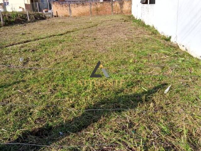 Terreno para Venda em Caxias do Sul - 5