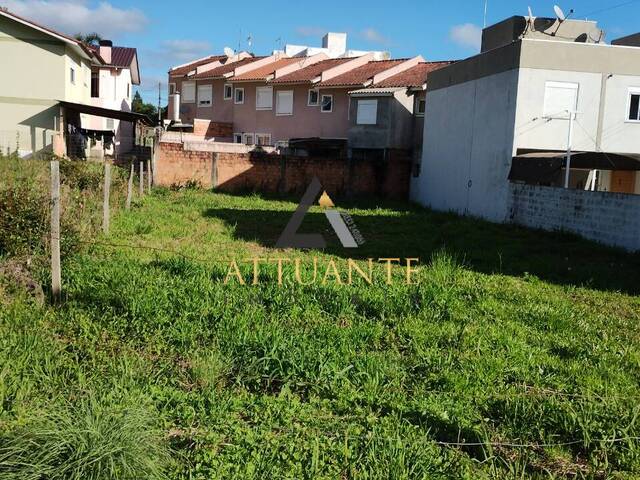 Terreno para Venda em Caxias do Sul - 3