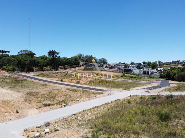 Terreno para Venda em Caxias do Sul - 4