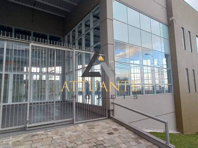 Sala para Locação em Caxias do Sul - 4