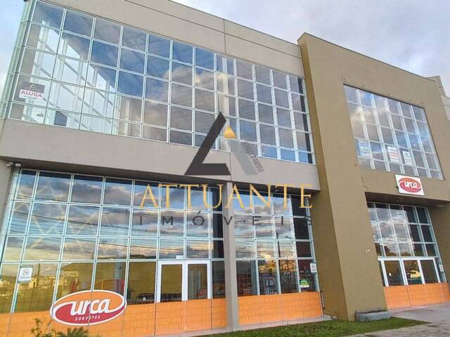 Sala para Locação em Caxias do Sul - 3