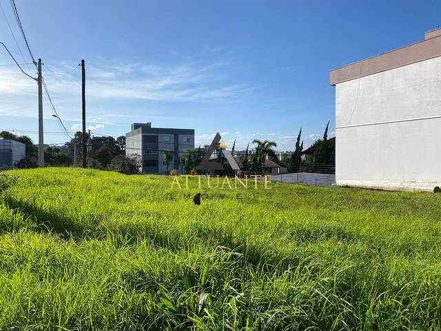 Terreno para Venda em Caxias do Sul - 5