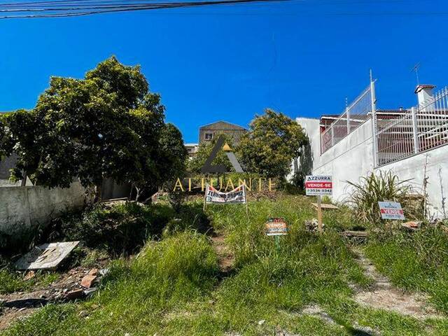Terreno para Venda em Caxias do Sul - 4