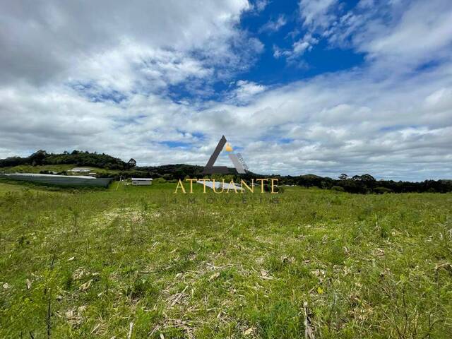 Chácara para Venda em Caxias do Sul - 5