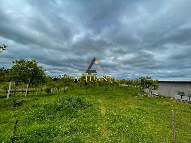 Chácara para Venda em Caxias do Sul - 4