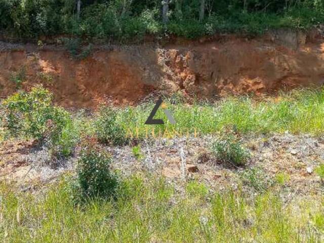 Terreno para Venda em Caxias do Sul - 4