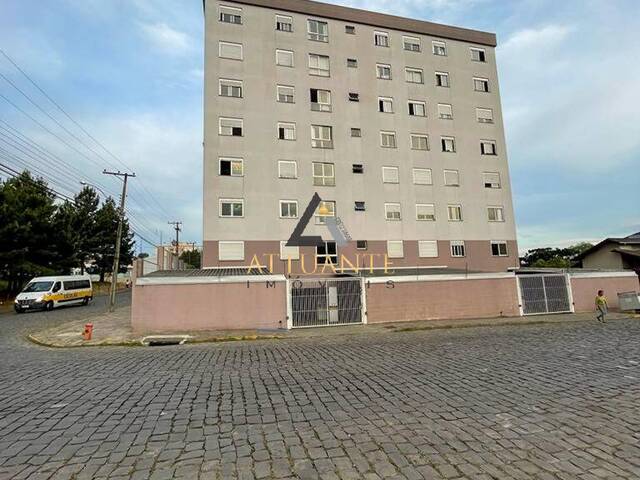 Venda em Treviso - Caxias do Sul