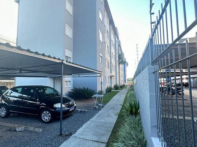 #3142 - Apartamento para Venda em Caxias do Sul - RS - 3