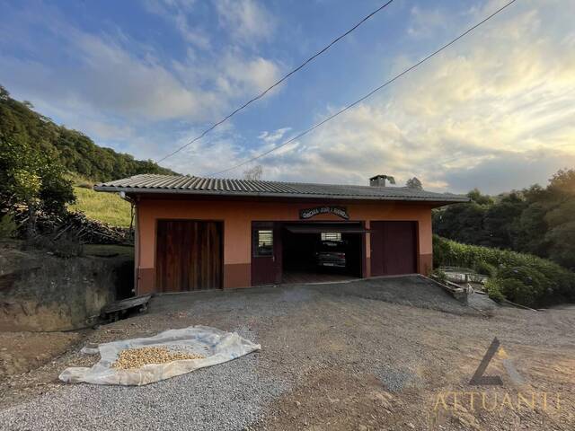 Chácara para Venda em Caxias do Sul - 5