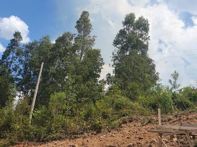Terreno para Venda em Caxias do Sul - 4