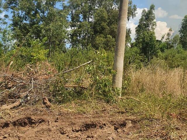 Terreno para Venda em Caxias do Sul - 5