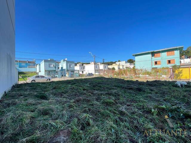 Terreno para Venda em Caxias do Sul - 4