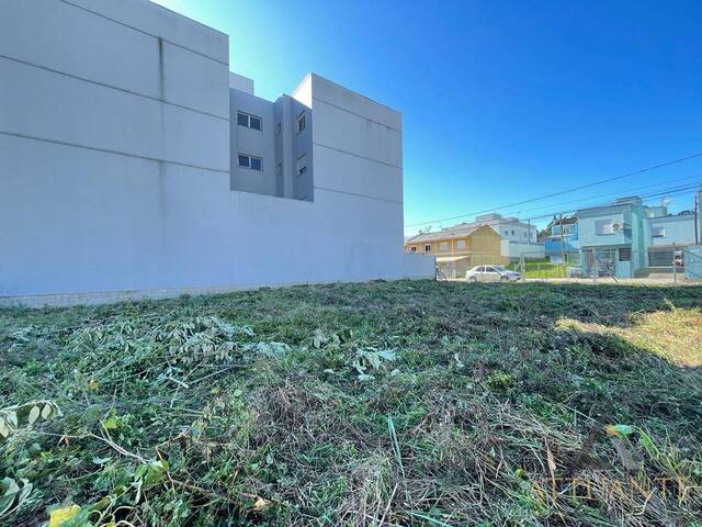 Terreno para Venda em Caxias do Sul - 5