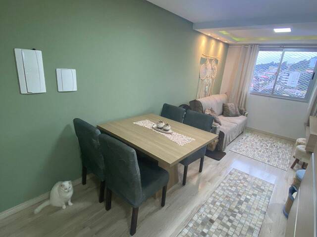 Apartamento para Venda em Caxias do Sul - 4