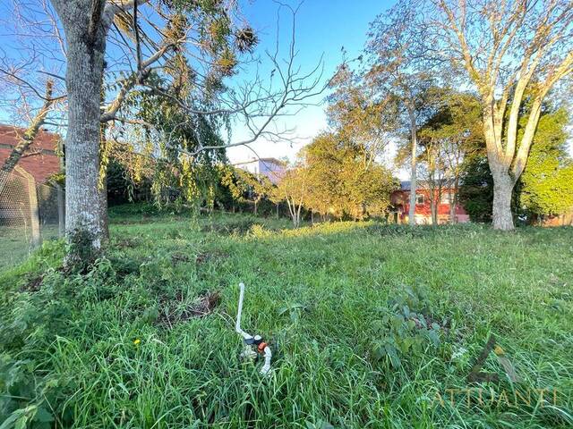 Terreno para Venda em Caxias do Sul - 3