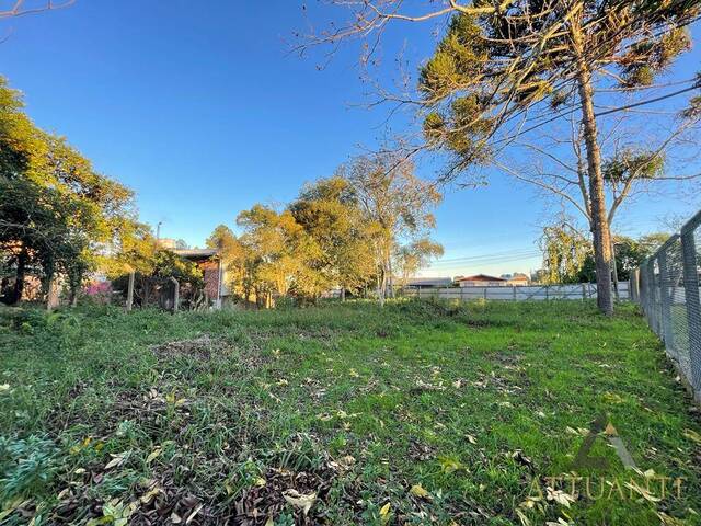 Terreno para Venda em Caxias do Sul - 2