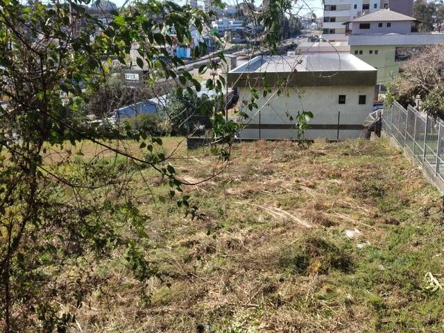 Terreno para Venda em Caxias do Sul - 3