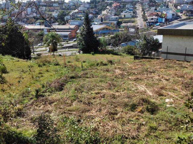 Terreno para Venda em Caxias do Sul - 4