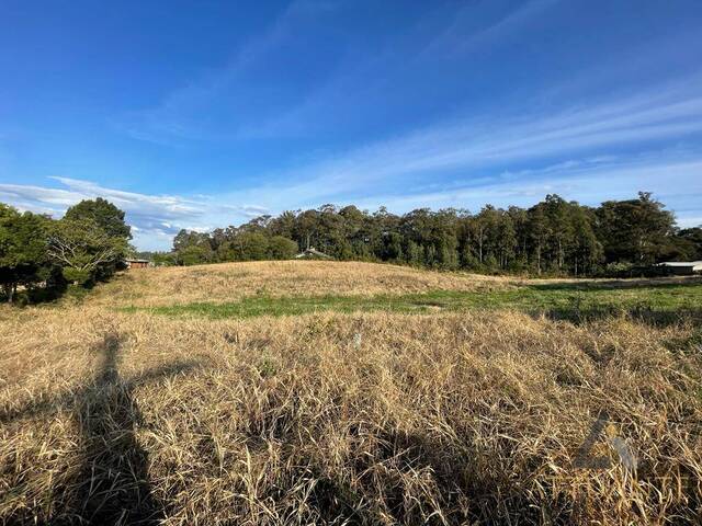 Terreno para Venda em Caxias do Sul - 2