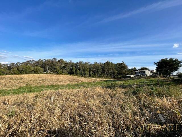 Terreno para Venda em Caxias do Sul - 3