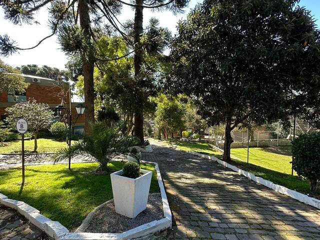 Apartamento para Venda em Caxias do Sul - 5