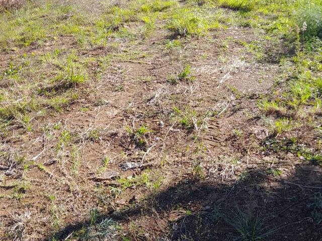 #TR3337 - Área para Venda em Caxias do Sul - RS - 2