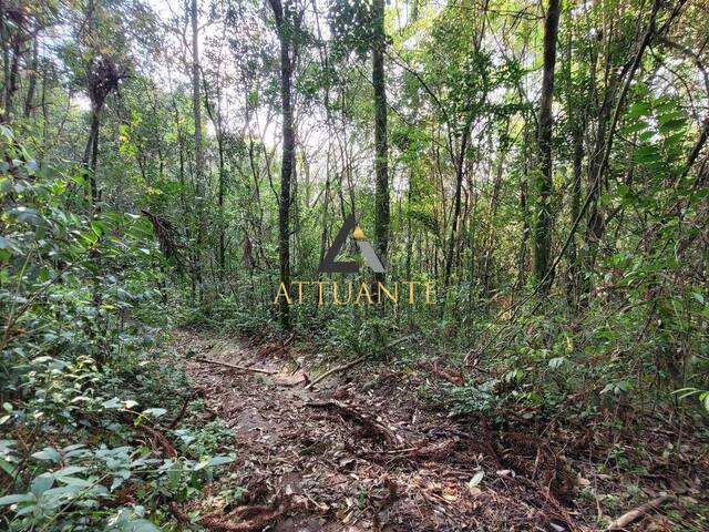 Área para Venda em Caxias do Sul - 4