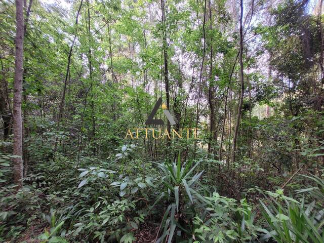 Área para Venda em Caxias do Sul - 5