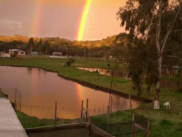 Chácara para Venda em Caxias do Sul - 4