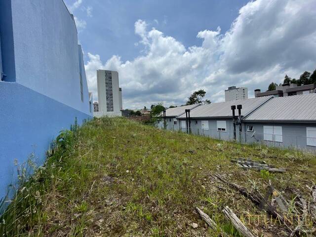 #TR3491 - Área para Venda em Caxias do Sul - RS - 2