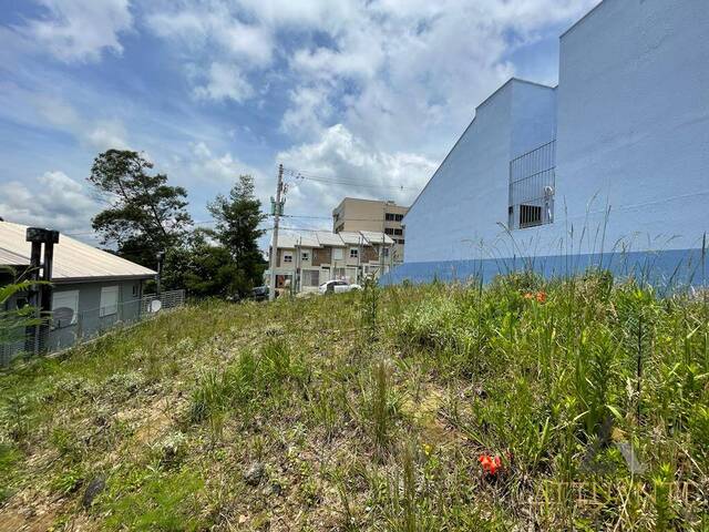 Terreno para Venda em Caxias do Sul - 4
