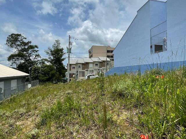 Terreno para Venda em Caxias do Sul - 5