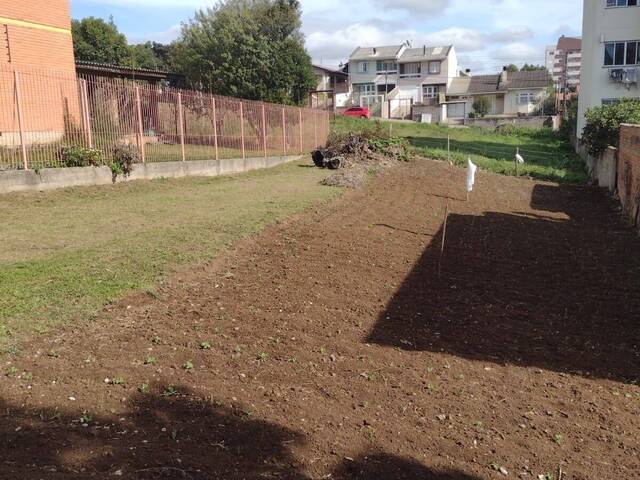 #TR3519 - Terreno para Venda em Caxias do Sul - RS - 1