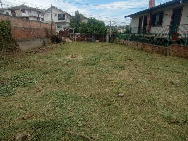 #TR3537 - Terreno para Venda em Caxias do Sul - RS - 1