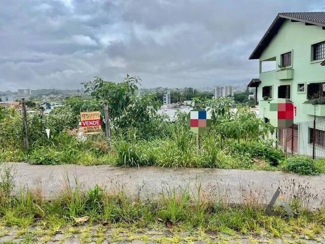 Terreno para Venda em Caxias do Sul - 4