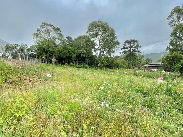 Terreno para Venda em Caxias do Sul - 4