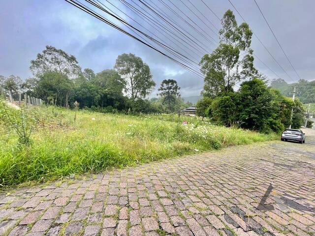 Terreno para Venda em Caxias do Sul - 5