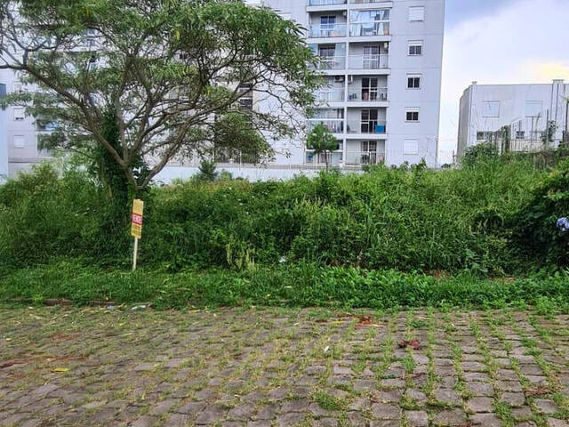 Terreno para Venda em Caxias do Sul - 4