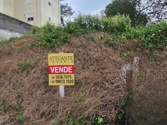 Venda em Vinhedos  - Caxias do Sul