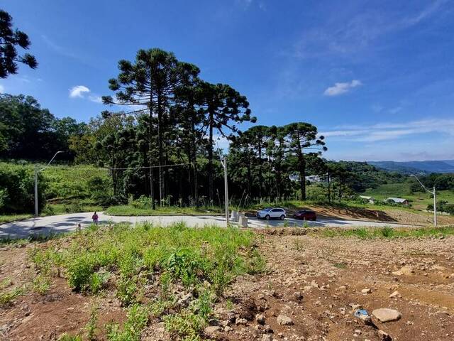 Terreno para Venda em Caxias do Sul - 3